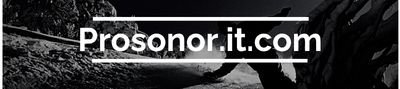 Prosonor.it.com